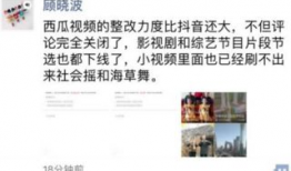 吃瓜网传视频在线观看,在线观看吃瓜盛宴
