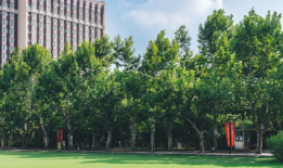 动漫设计专业的大学,创意与技术的完美融合