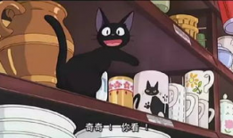 神田猫漫画,治愈心灵的喵星人日常