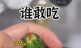 吃瓜爆料图片大全高清壁纸,揭秘吃瓜爆料图片大全