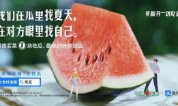 吃瓜爆料宋轶微博,揭秘娱乐圈幕后真相