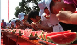 万科吃瓜大赛官网,一场全民参与的夏日狂欢盛宴