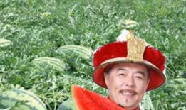 瓜农吃瓜网院长,揭秘瓜农背后的故事与智慧