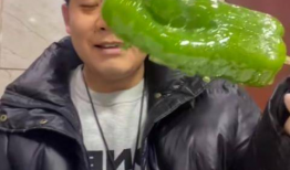 最近成都男网红吃瓜,揭秘网络红人背后的真相与争议
