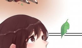 有言在仙漫画,仙侠世界中的爱恨情仇